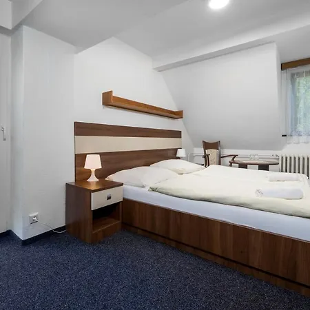 Hotel Horsky Jelinek 3*
