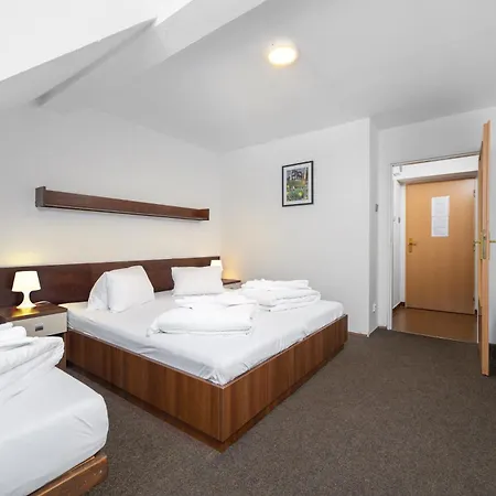 Otel Horsky Jelinek 3*