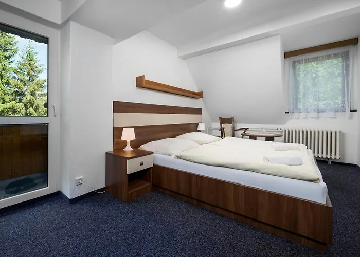Hotel Horský Jelínek 3*